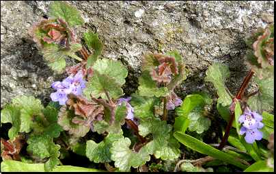 Štěrbina v dlažbě, Otradov (Fyt69b, 04/2012).