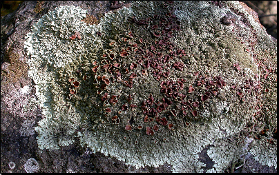 Skála v údolí Kablaně, Otradov (Fyt69a, 10/2011).