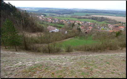 PR Střemošická stráň - nezalesněné svahy (Fyt15c, 04/2016).