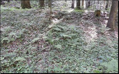 Potoční údolí, Předhradí (4D4, Fyt69a, 05/2018).