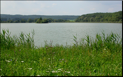 Horecký rybník od východu, Podlažice (08/2009).