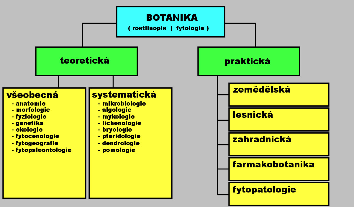 botanika